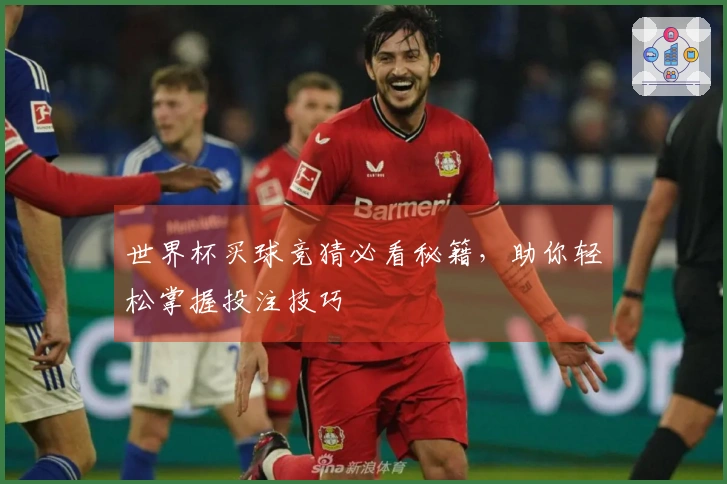 世界杯买球竞猜必看秘籍，助你轻松掌握投注技巧