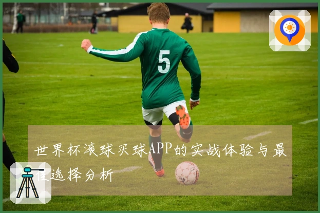 世界杯滚球买球APP的实战体验与最佳选择分析