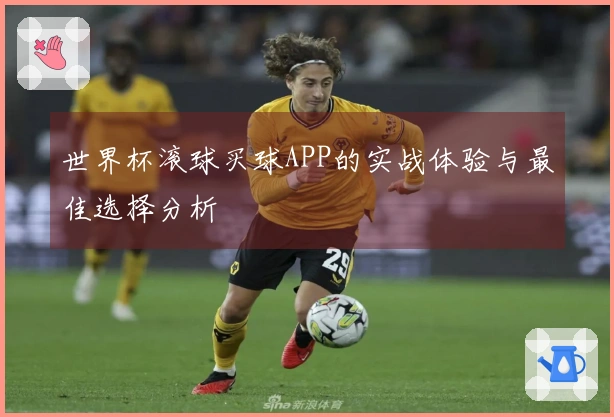 世界杯滚球买球APP的实战体验与最佳选择分析