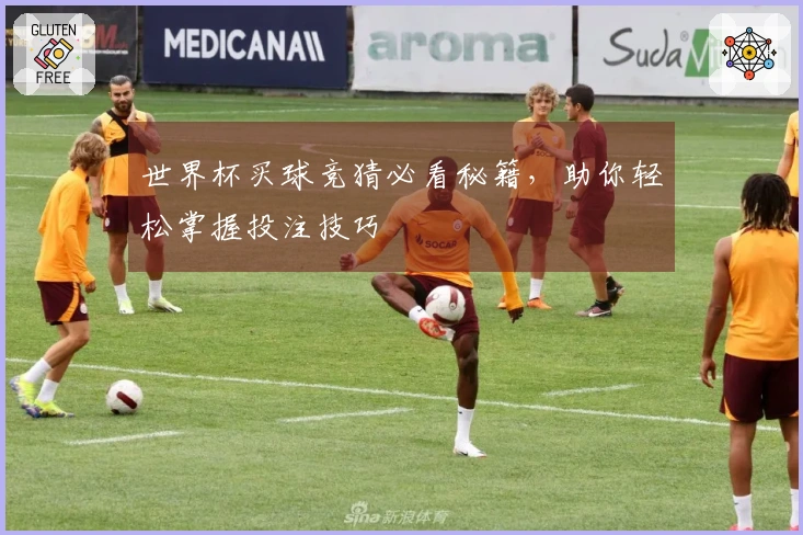 世界杯买球竞猜必看秘籍，助你轻松掌握投注技巧