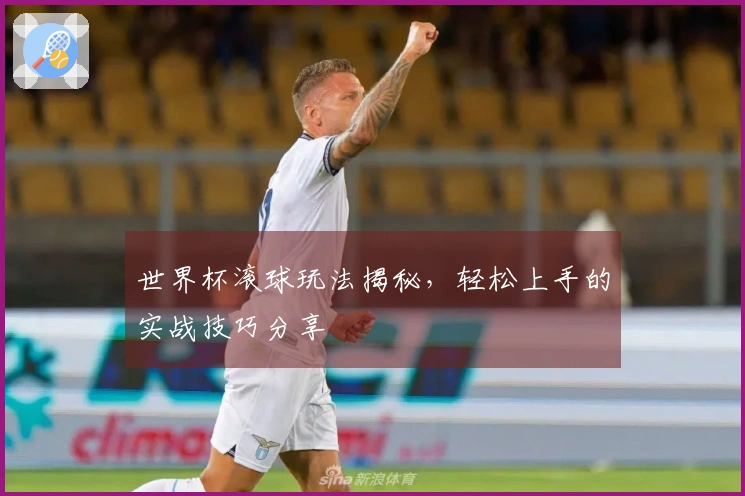 世界杯滚球玩法揭秘，轻松上手的实战技巧分享